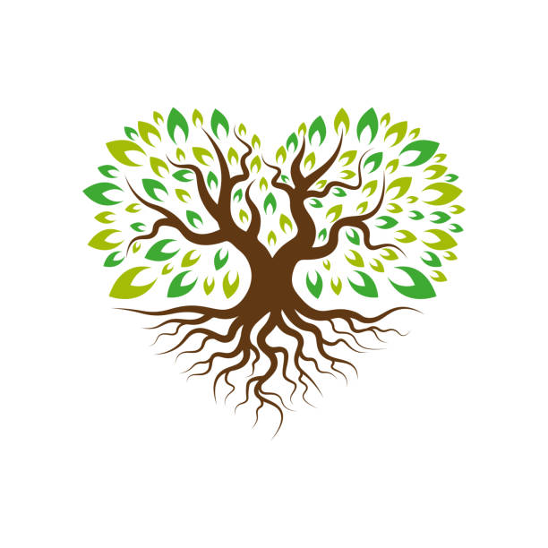 дерево любви с корневым шаблоном логотипа - autumn backgrounds biology botany stock illustrations