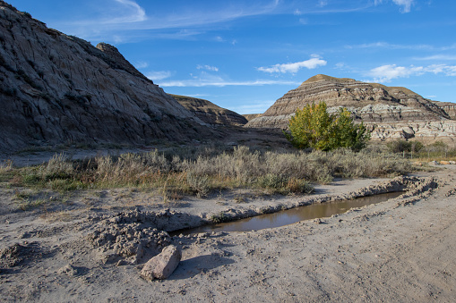 A puddle in the desert in the Canadian Badlands in Drumheller, Alberta