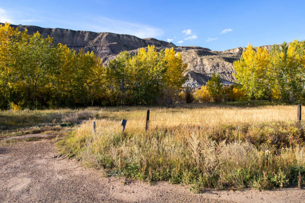 istock autumn near Drumhellar, Alberta on a sunny day 1355399878