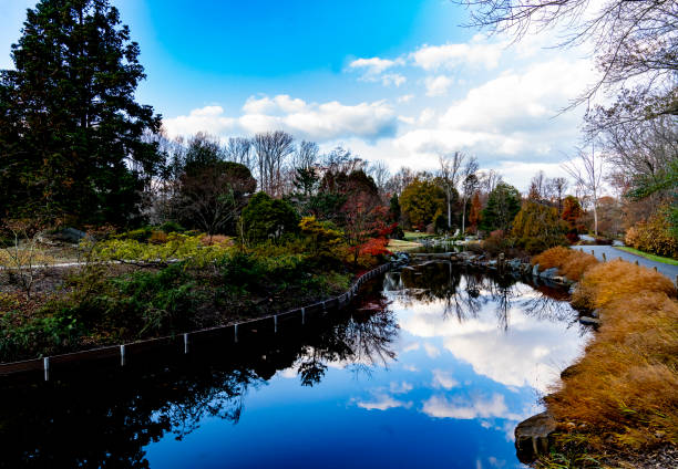 istock Cloud formation echoed in the clear waters of a park pond. 1355400865