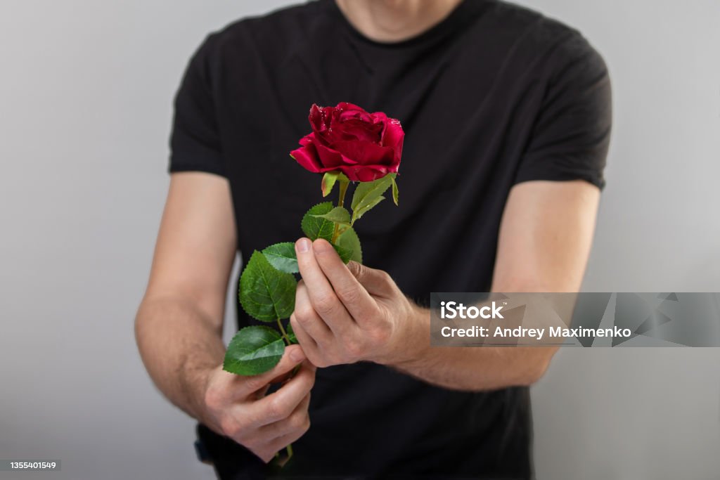 Handsome yound man is standing with red rose in hands on gray background Handsome young man is standing with red rose in hands on gray background. Rose - Flower Stock Photo