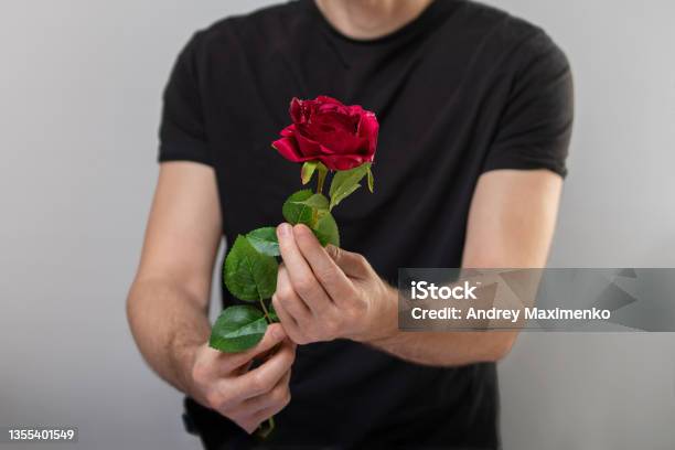 Handsome Yound Man Is Standing With Red Rose In Hands On Gray Background Stock Photo - Download Image Now