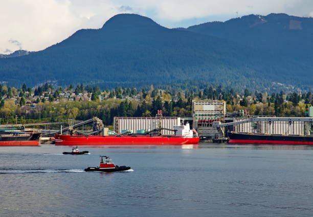 Two tugboats going along the port of North Vancouver against the background of cityscape and mountain range