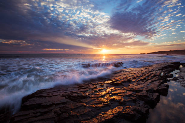 istock Crystal Cove State Park - The Golden Land 1355407592