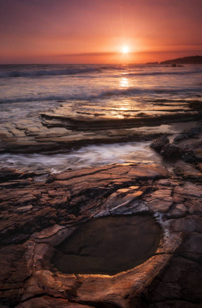 istock Crystal Cove State Park - Pool of Shelter 1355409645