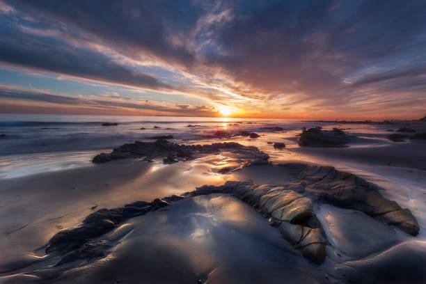 istock Crystal Cove State Park - T-Rex Footprint 1355409651