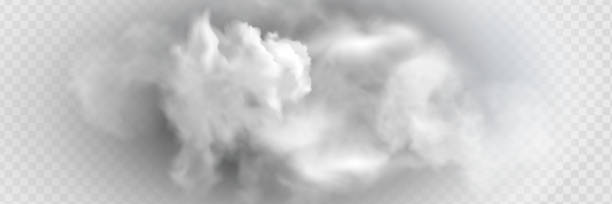 안개 또는 연기 격리 투명 특수 효과. 흰색 벡터 흐림, 안개 또�는 스모그 배경. - sea of clouds stock illustrations