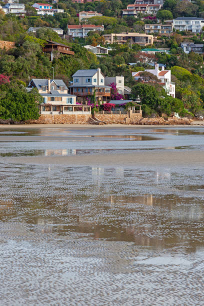 istock Low Tide at Knysna Lagoon 1355413937