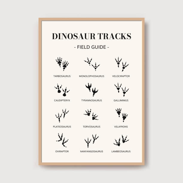 illustrazioni stock, clip art, cartoni animati e icone di tendenza di poster delle impronte di dino. stampa di tracce di dinosauri, poster di arte boschiva - paleontologo