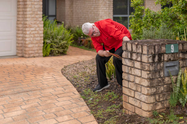 シニアマンは、メールのために彼のレターボックスをチェックします - mail mailbox senior adult cheerful ストックフォトと画像