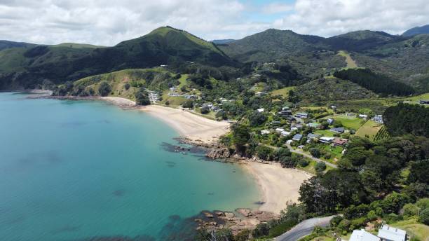 istock Sandy Beach in New Zealand 1355423455