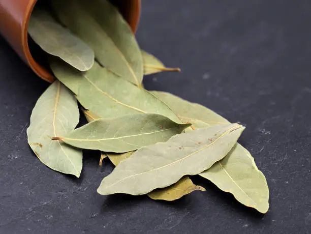 Close-up view of dried bay leaves on a slate background.