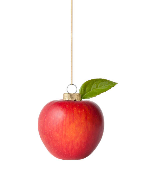 pomme de noël - red delicious apple apple fruit vertical photos et images de collection