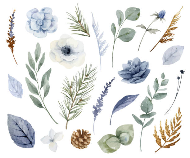 Watercolor vector set of dusty blue flowers, branches and leaves. Winter floral clipart for greeting cards and invitations isolated on a white background. Watercolor vector set of dusty blue flowers, branches and leaves. Winter floral clipart for greeting cards and invitations isolated on a white background. blue flowers stock illustrations