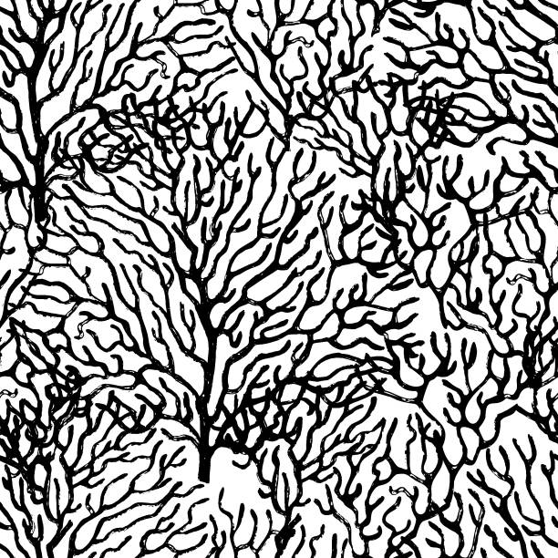 koral narysowany czarnym tuszem. bezszwowy czarno-biały wzór. ilustracja wektorowa - underwater abstract coral seaweed stock illustrations