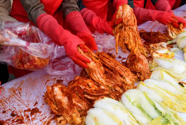 At the end of November 2021, they are making kimchi in Gyeongbuk, South Korea. (Kimchi is an old traditional food in Korea. There is a custom of making and sharing with the whole family.)