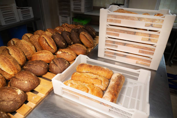 istock Fresh rolls of craft craft bread lies on the table in the bakery. Loading hot bread into white plastic boxes for transportation 1355441791