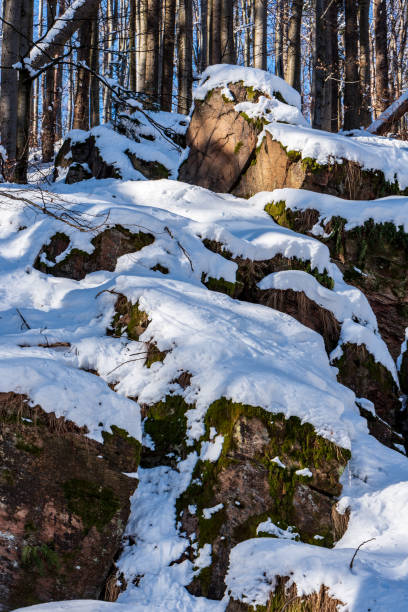 Winter forest with smaller rocks and clear sky in Rychlebske hory mountains in Czech republic