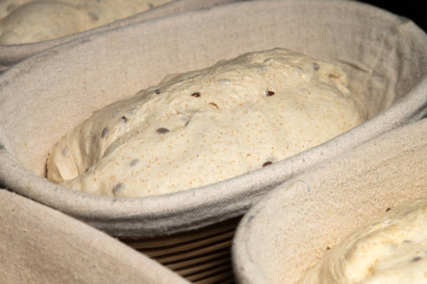 istock Uncooked bread dough with sprinkles in wooden wicker forms covered with cloth. Craft bread making 1355444488