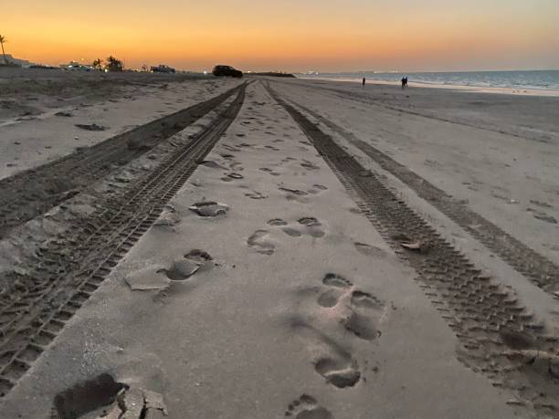 istock Sunset at the beach in Oman 1355447888