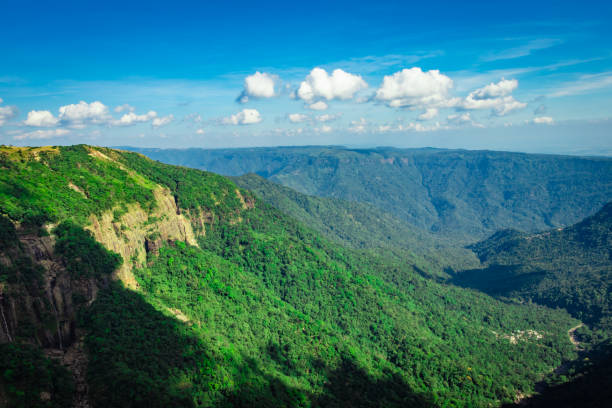 mountain range covered with green forests and bright blue sky at afternoon from flat angle