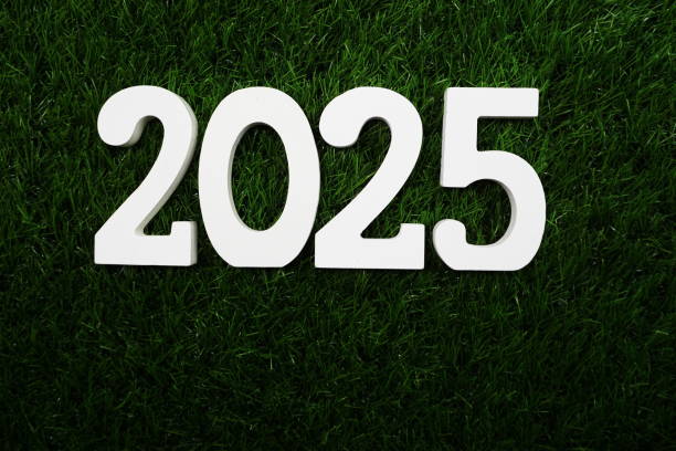 istock 2025 Happy New Year Flat lay on Green artificial grass 1355458029