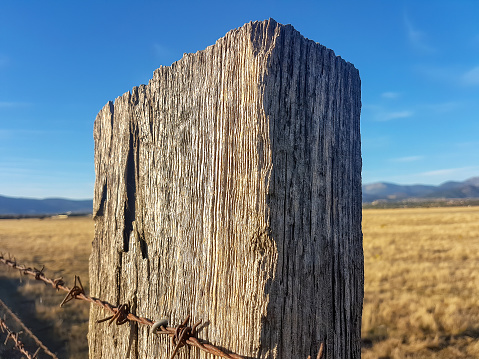detail of barbed wire fence with wooden pole in the field