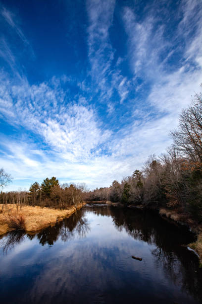 Eau Claire River in central Wisconsin on a calm November day, vertical