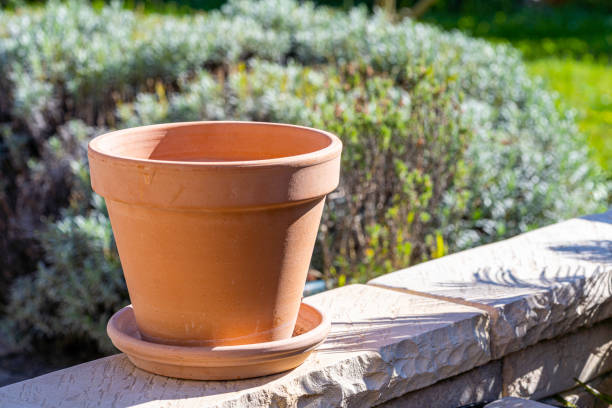 maceta de terracota en el jardín - terra cotta pot fotografías e imágenes de stock