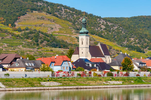 istock Small village with vineyards in Wachau valley, Austria 1355465716