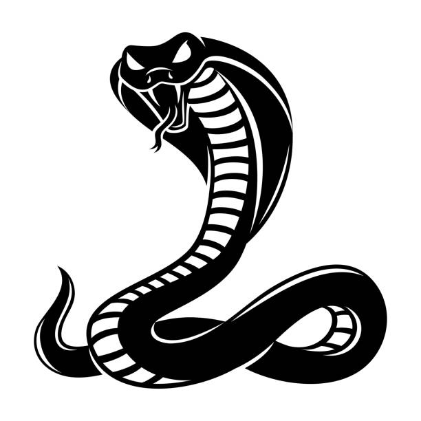 злая икона кобры. - cobra snake poisonous organism reptiles stock illustrations