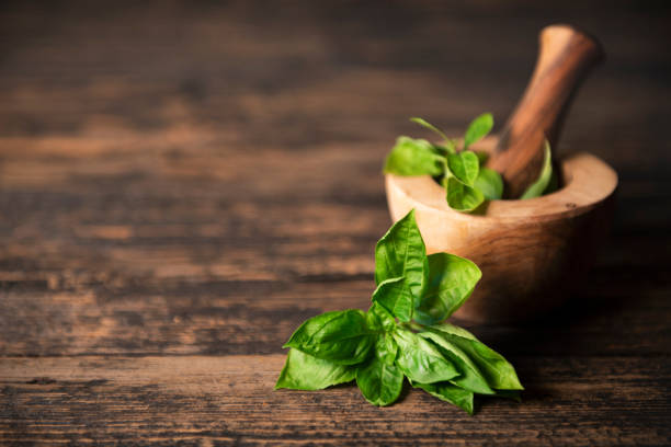 Fresh green basil on the wooden table