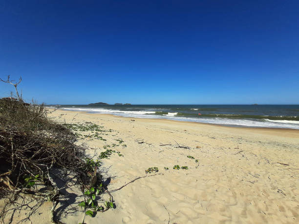 istock Barra do Sul - Santa Catarina State, Brazil 1355473366