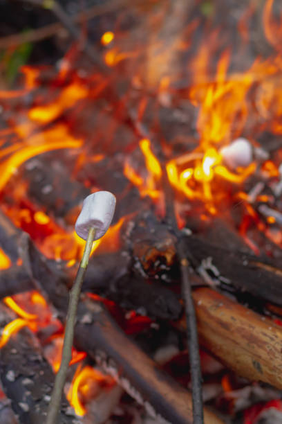 istock roast marshmallows on a campfire in the woods on a hike 1355473406