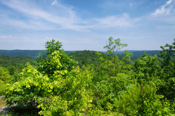 istock connecticut nature landscape litchfield county 1355483223