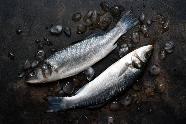 istock Raw organic sea bass 1355487410