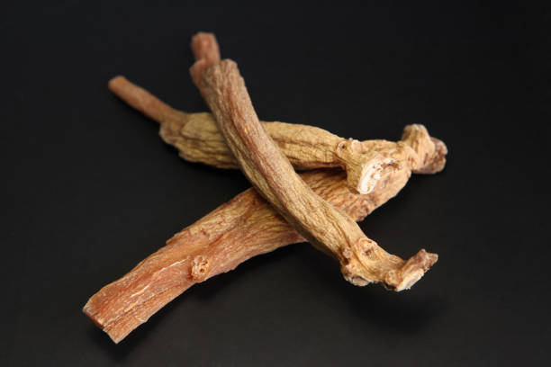 istock Red ginseng root, a medicinal herb good for health 1355488916