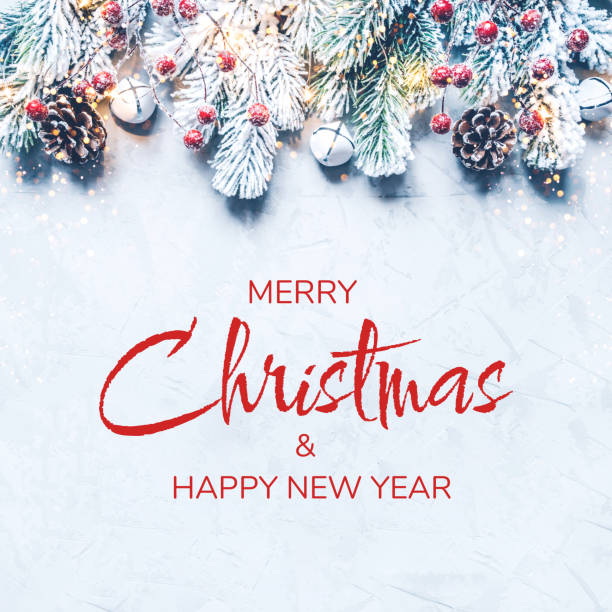 istock Christmas background of snow-covered branches with berries. 1355489112