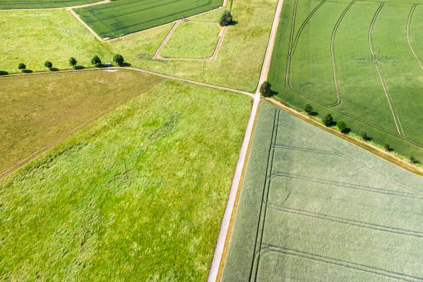 istock Agricultural area and fields - aerial view 1355490932