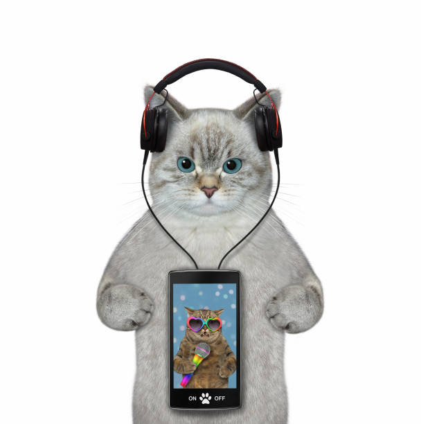istock Cat ashen with smartphone listens to music 2 1355492090