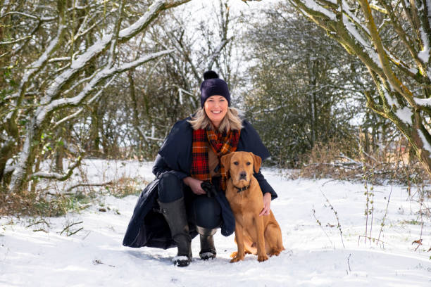 Me & My Puppy in the Snow A mature caucasian woman and her red fox labrador retriever on a walk in the snow on a winter's morning. She is crouched down next to her sitting dog and is looking and smiling at the camera. mature adult walking dog stock pictures, royalty-free photos & images