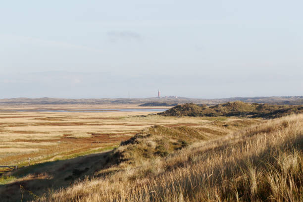 The Slufter by morning Light. Picture mad during a short Vacation on the Island of Texel in October of 2021.