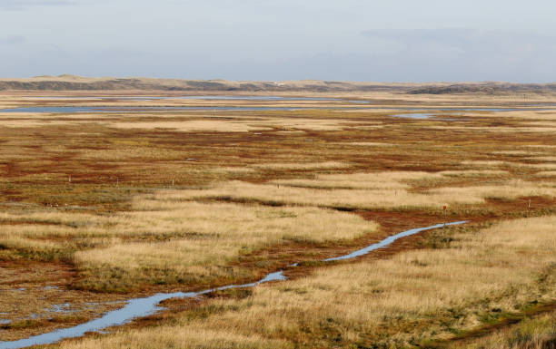 istock Dutch Landscapes – The Slufter (Texel) 1355495706