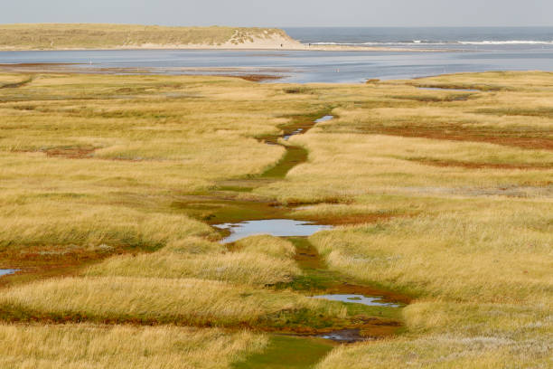 istock Dutch Landscapes – The Slufter (Texel) 1355495719