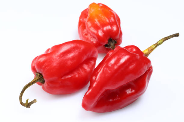 istock Habanero Peppers 1355496863