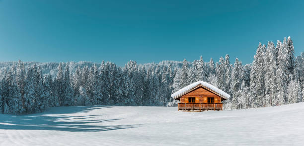 cottage on a snowy forest - winter chalet snow residential structure imagens e fotografias de stock