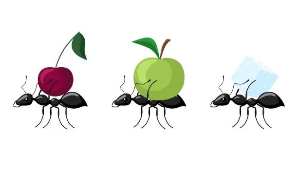 Vector illustration of Set ants carrying different fruits isolated on white background. Colony of ants carrying apple, cherry, sugar and walking to the anthill.