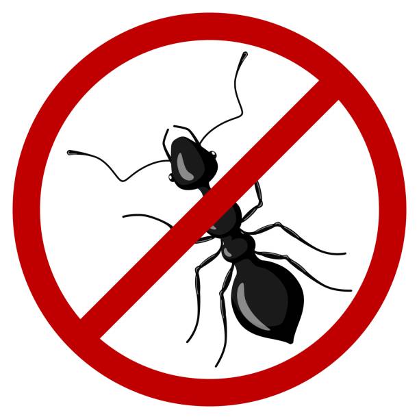 istock Forbidding sign ant isolated on white background. Red STOP ants icon in flat style. Design symbol disinfection against insect. 1355498184