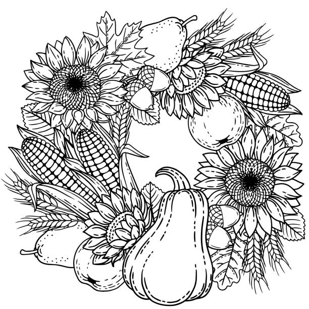Autumn harvest for thanksgiving day. Vector coloring page for adult. Black and white wreath made with leaves, sunflower, corn, apple, pear, ears of wheat and pumpkin Autumn harvest for thanksgiving day. Vector coloring page for adult. Anti-stress and relax meditation. Black and white wreath made with leaves, sunflower, corn, apple, pear and pumpkin autumn coloring pages stock illustrations
