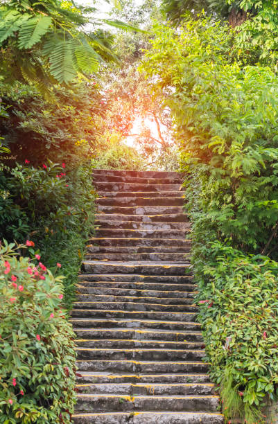 istock old stairs in the park 1355502282